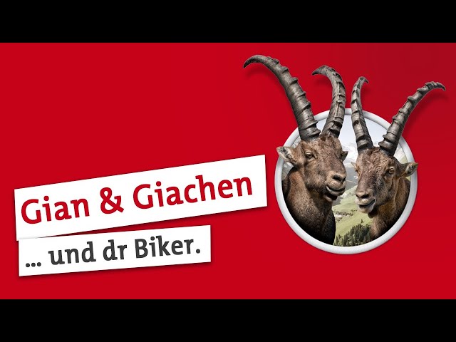 Watch Gian und Giachen: Karbon statt Kondition! on YouTube.
