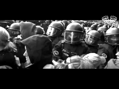 Molotov Video