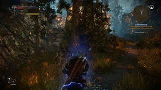 The Witcher 2 Ins Of Kings Chapter 2, Roche Discovering Vergen 4