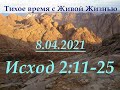 Исход 2:11–25 (08.04.2021)