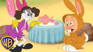 Looney Tunes Em Português 🇧🇷 | É Uma Festa Do Chá! 🫖 | Wb Kids