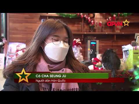 QUÁN CÀ PHÊ MÈO HÚT KHÁCH DỊP GIÁNG SINH