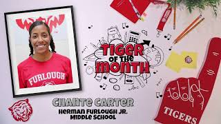 January TISD Tigers of the Month