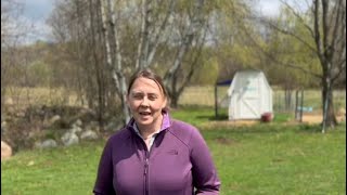 Chickens Vs. Ducks ? Whats The Difference? Which Is Better For A Small Farm Or Homestead