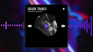 Dilek Taşcı- Odam Kirec Tutmuyor Official Video