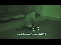 Alien cat on ufo. (irobot roomba vacuum) roomba cat max