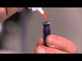Practitioner Application - Applying the Onefit Lens