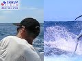 North Cal Sportfishing
