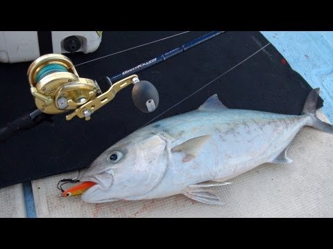 GIANT KILLING JIGGING | メジャークラフト｜Major Craft Web