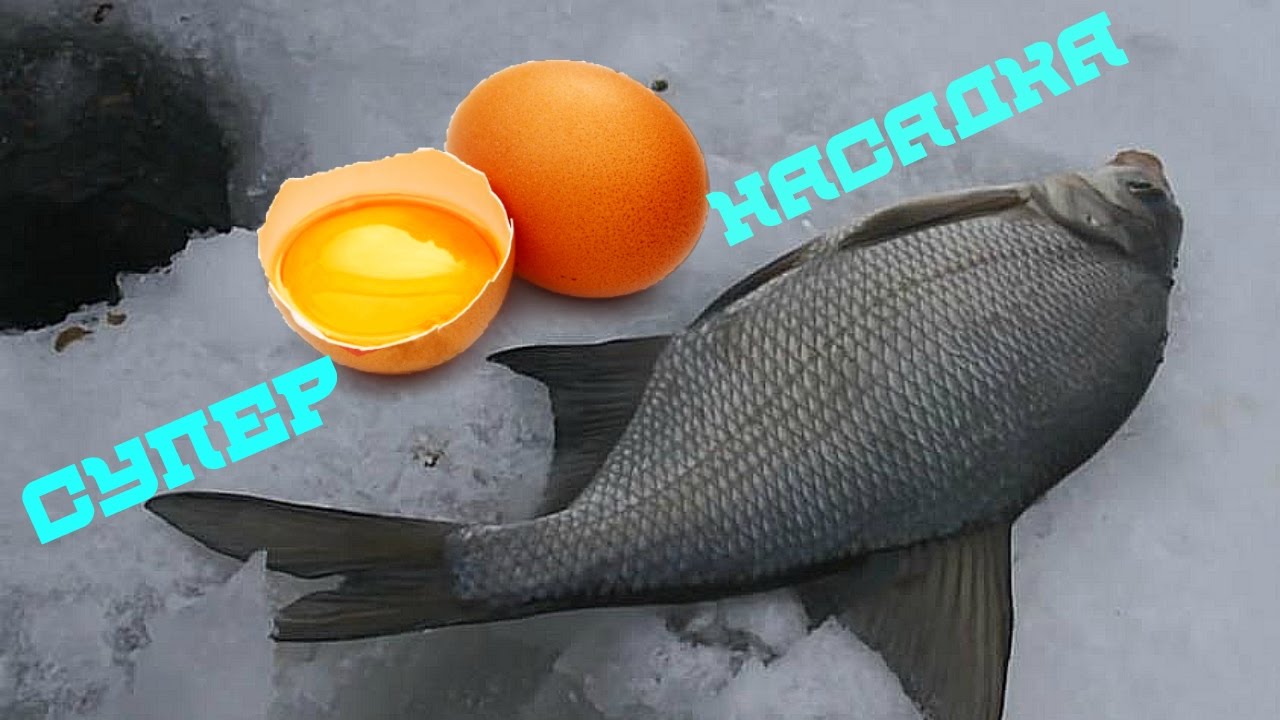 Насадка на плотву своими руками 834