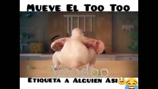 Te Gusta La Chapa Q Vibra