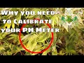 Huge Garden Mistake Involving PH Meter | Why you need to Calibrate your PH pen | Bluelab PH meter