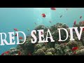 Red Sea Divers Movie