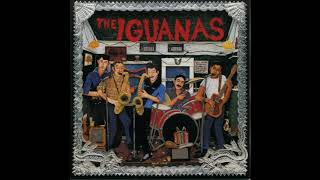 Watch Iguanas Nervous video