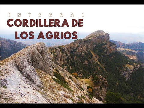 La edad adelgazamos en una semana
