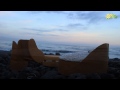 Video DNArt