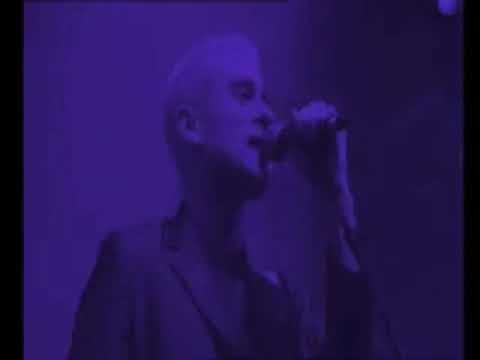 Zoot Woman - 'Gem' Live @ Electronic Beats Vienna