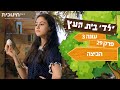 ילדי בית העץ  עונה 3 | פרק 29 - הביצה | שידורי ב...