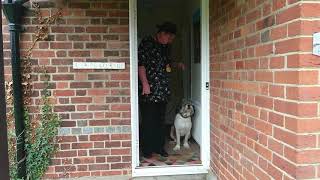 Introduction to You And Your Dog