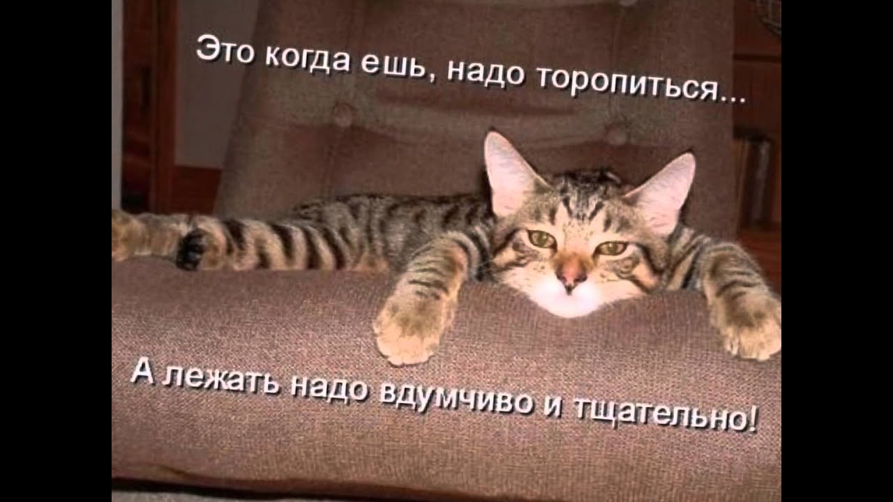Завтра опять на работу картинки