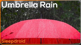 Rain On An Umbrella Rain Sounds For Sleeping To Help You Fall Asleep Fast Lluvia Para Dormir