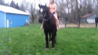 Riding Double