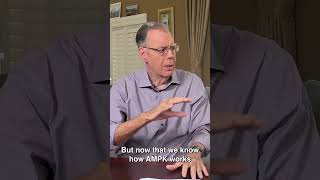 Ampk & Metabolism