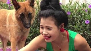 Opps!!!Cute Girl Playing And Feed Smart Puppy At Home How To Feed Puppy