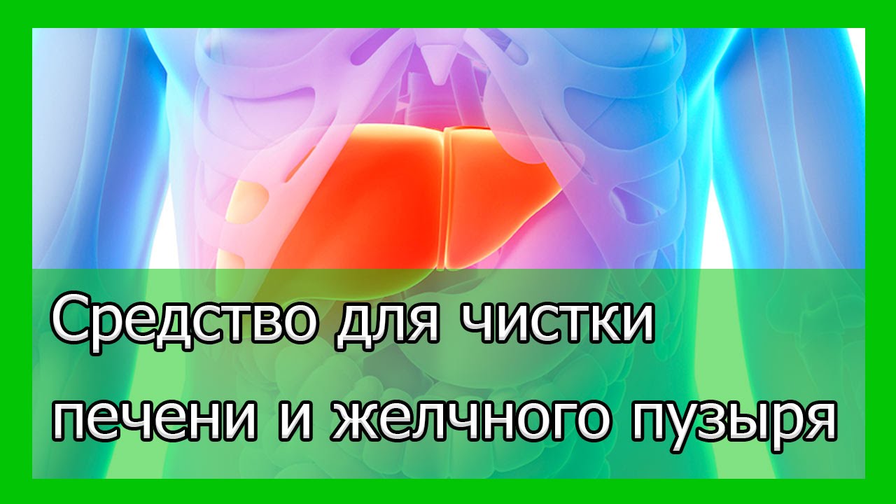 Как почистить желчный в домашних условиях Как почистить желчный в домашних условиях