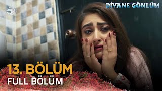 Divane Gönlüm - Deewangi 13. Bölüm