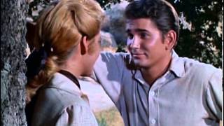 Bonanza DENVER MCKEE