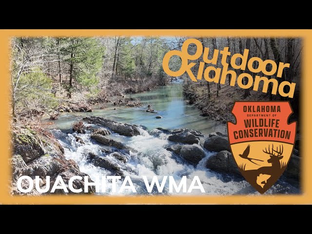 Watch Ouachita WMA on YouTube.