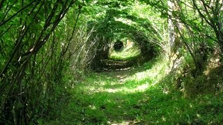 Natashas Spiritual Talk - Nature