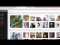 eBay HTML Listing Template Tutorial -  How to Use eBay Templates