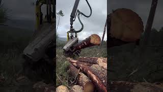 Tackling Tough Terrain With John Deere 1270G Harvester Excavators #Johndeere #Harvester #Viral #Tree