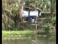 image Penanaman Padi Sawah Integrated Farming 2