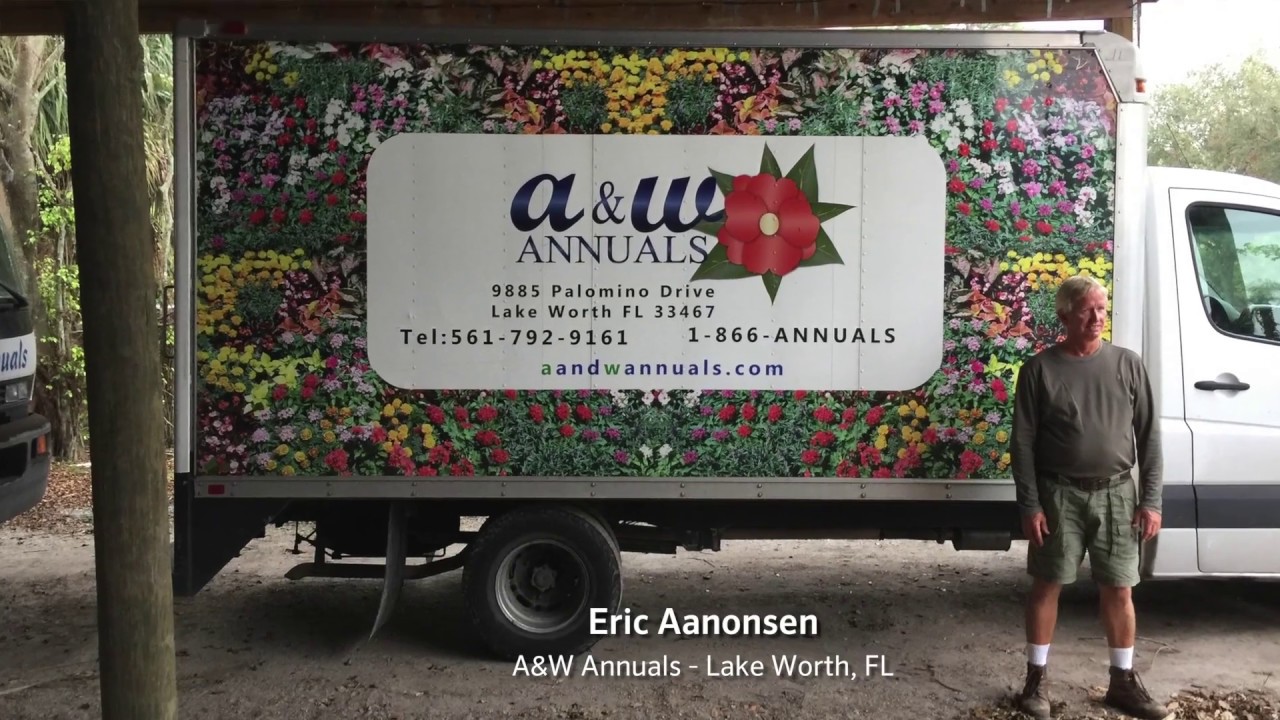 Misters & mini-Wobblers at A&W Annuals Nursery – Interview with Eric Aanonsen