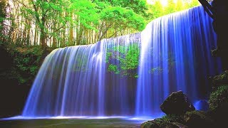 Beautiful Relaxing Music Live 24 7 Music For Stress Relief Meditation Music Spa Music Beautiful Relaxing Music Live 24 7 Music For Stress Relief Meditation Music Spa Music