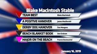 TEAM BEST, A POSITIVE HANOVER, DERBY DOG HANOVER, BEACH BLANKET BOOK, MAJOR ON THE BEACH, 1-16-19