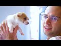 Cat Lovers Try Dog Grooming | The Try Guys