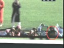 Did the driver shoot JFK? (revised)