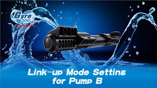 Maxspect Gyre 300 Cloud Edition - Link-Up Mode Setting For Pump B