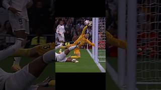 DhtKi4tVwt4 Video Image