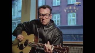 Watch Elvis Costello Pads Paws And Claws video