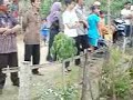 image Atraksi 7 Kera Sakti Kotabumi