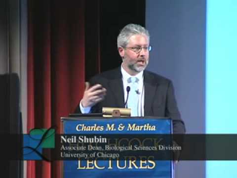 The Great Transitions in Evolution
