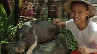 Pinoy Gentleman Filipino-Style Gentleman Parody Backwards