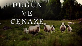 Çobanın Gece Gördüğü Cin Kabilesi Cinlerin Düğün Ve Cenazesi Korku Hikayeleri Paranormal