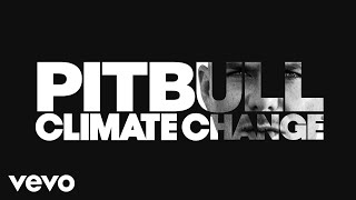 Watch Pitbull Educate Ya video