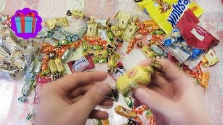 So Much Candy A Lot Of Candy And Sweets